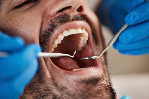 Best Emergency Orthodontic Services in Pea Ridge, AR